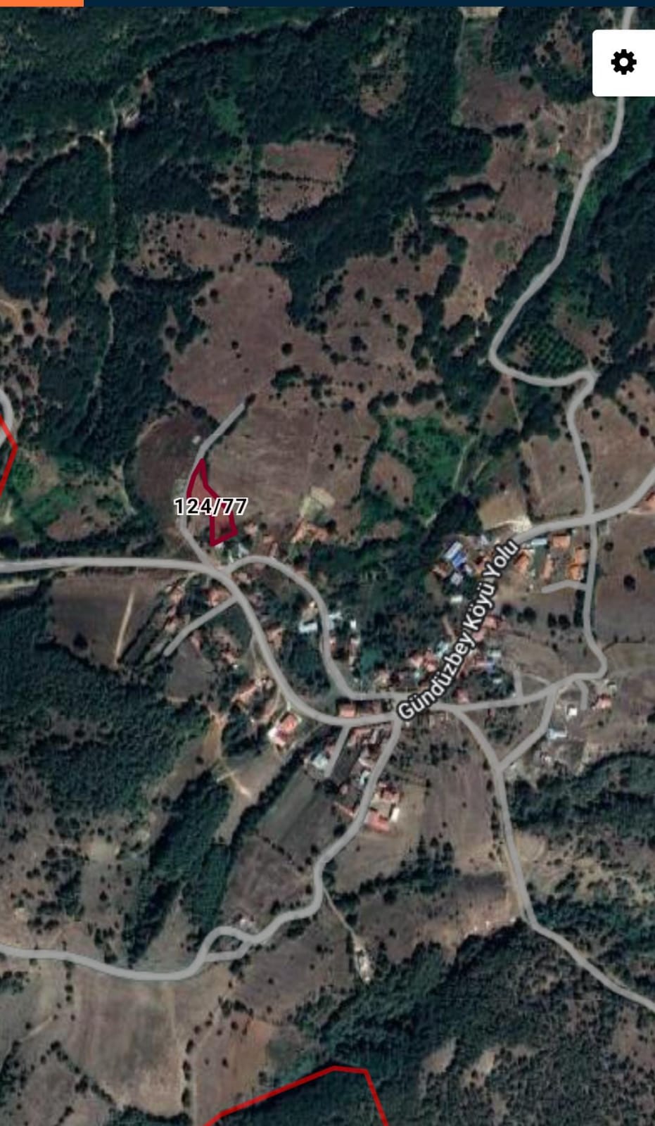Fotoğraf